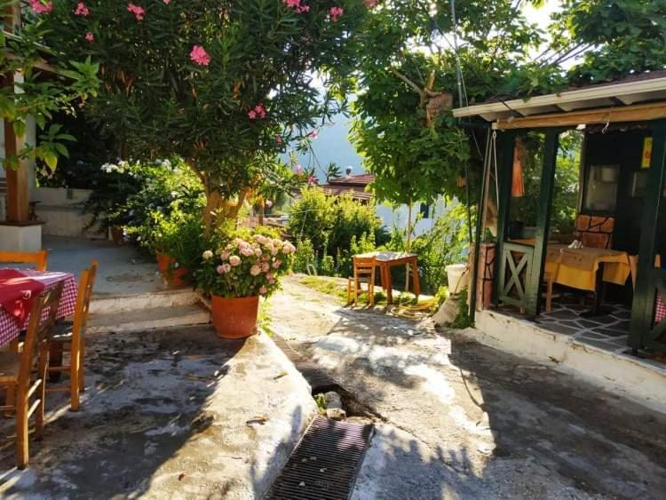 Lefkada Villas Panoramic Κατούνα Εξωτερικό φωτογραφία
