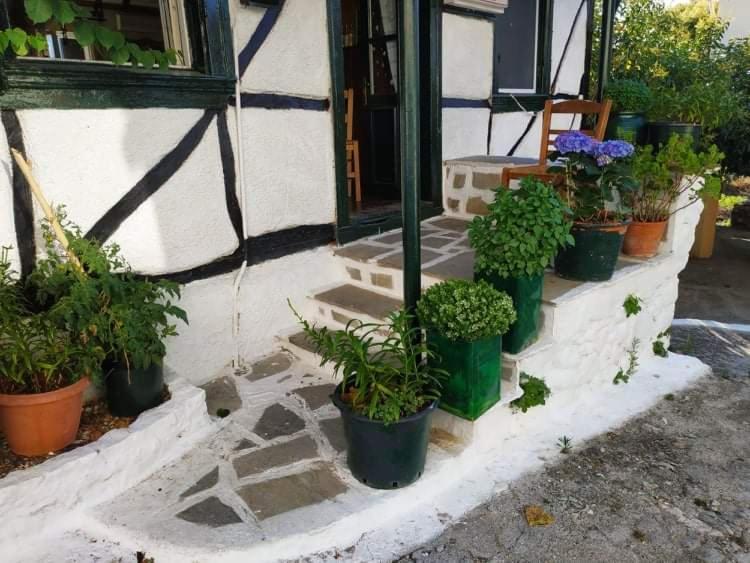 Lefkada Villas Panoramic Κατούνα Εξωτερικό φωτογραφία
